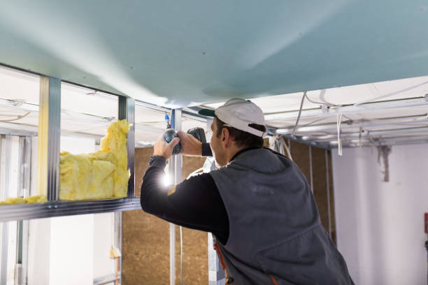 Best Insulation Maintenance and Repair in Wright, FL