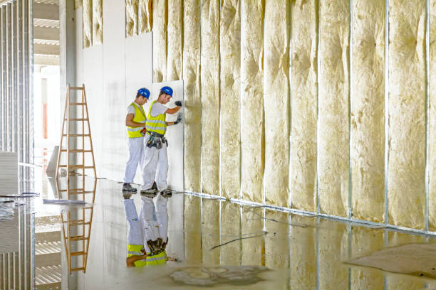 Best Commercial Insulation in Wright, FL